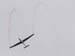 airshow