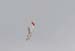 airshow
