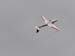 airshow