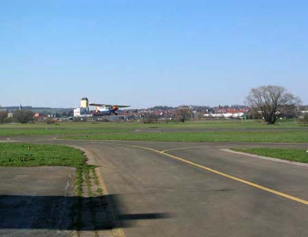 Piper021