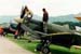warbird
